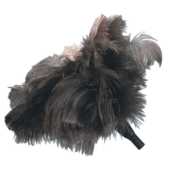  Ostrich Feather Duster